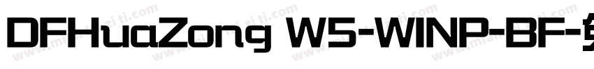 DFHuaZong W5-WINP-BF字体转换